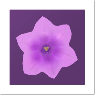 Pretty Purple Petunia Posters and Art